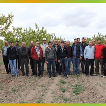 Visit to demonstration orchards