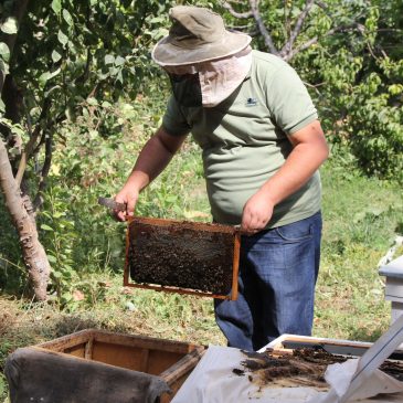 Beekeeping Development project in Vayots Dzor region