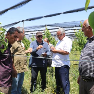 PRACTICAL TRAINING COURSE FOR VAYOTS DZOR FARMERS WITH EXCHANGE VISIT IN THE GEGHARKUNIK REGION